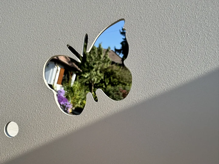 Schmetterling im Detail